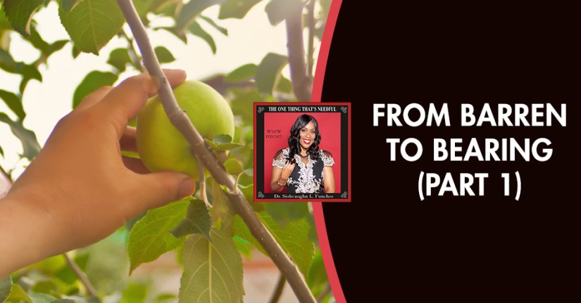 TOT 18 | Bearing Fruits