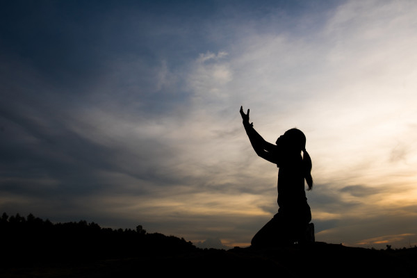 TOT 18 | Bearing Fruits