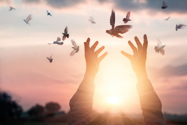 TOT 30 | Trusting God’s Heart