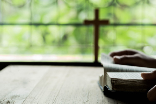 TOT 30 | Divine Protector