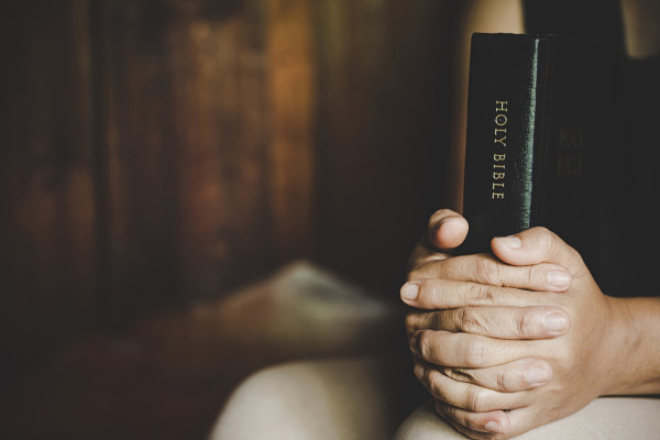 TOT 30 | Divine Protector