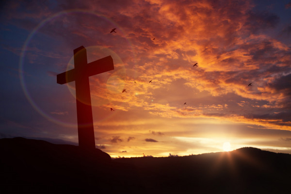 TOT 47 | God Will Provide