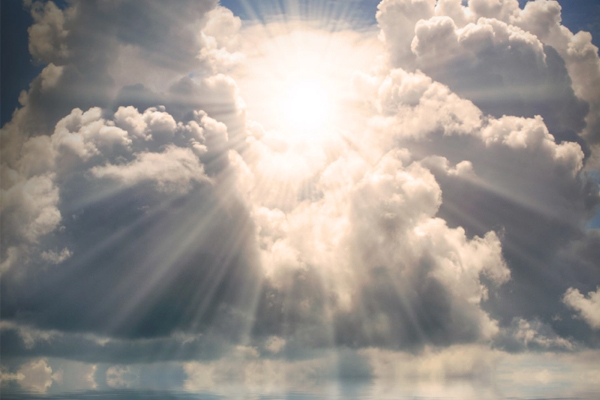 TOT 85 | Manifesting Our Dreams